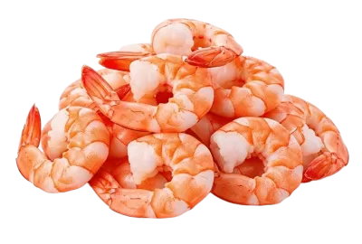 Imagen PNG para descargar